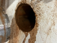 jádrové vrtání - průměr od 5 - 20 cm